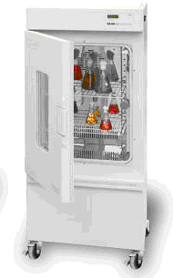 �������B��