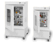 �������B����������ʮ�ξ���