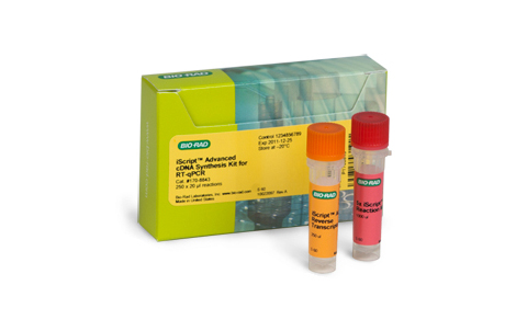 用于 RT-qPCR 的 iScript™ 高級 cDNA 合成試劑盒